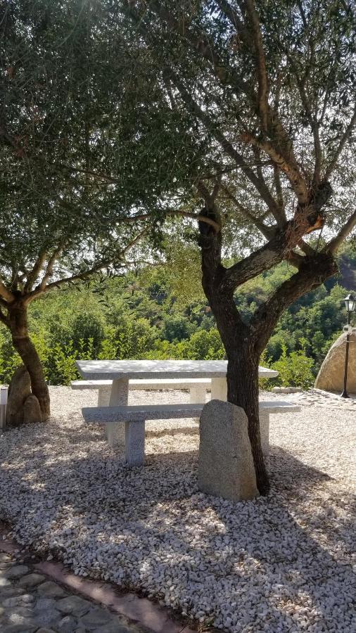 B&B Casa Vacanza Centro Sardegna Sorgono ภายนอก รูปภาพ