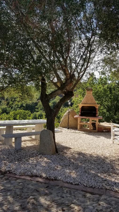 B&B Casa Vacanza Centro Sardegna Sorgono ภายนอก รูปภาพ